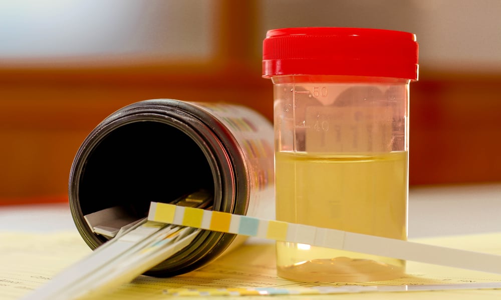 user-friendly fake urine kit