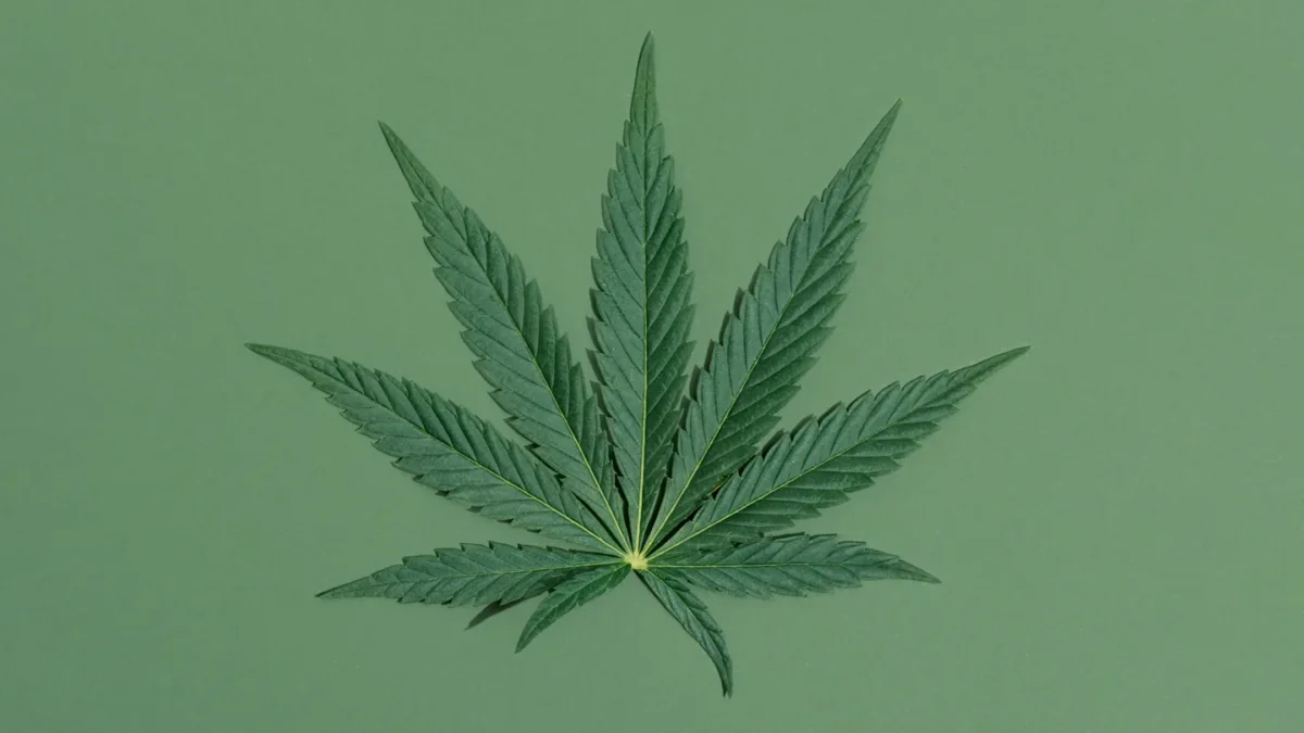 Benefits of Hemp for Migraine: A Natural Approach with CBD Migraine Balm